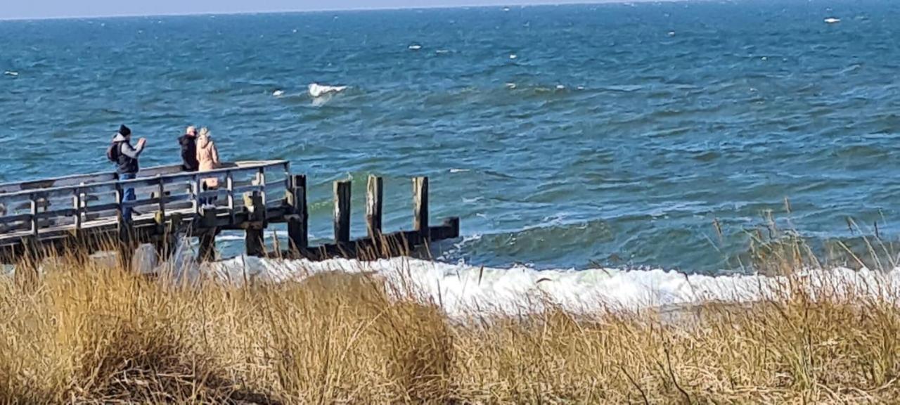 Ferienwohnung "Juliette" Zingst Exteriör bild